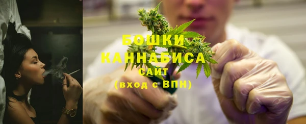 трава Аркадак