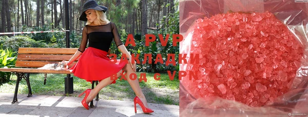 трава Аркадак