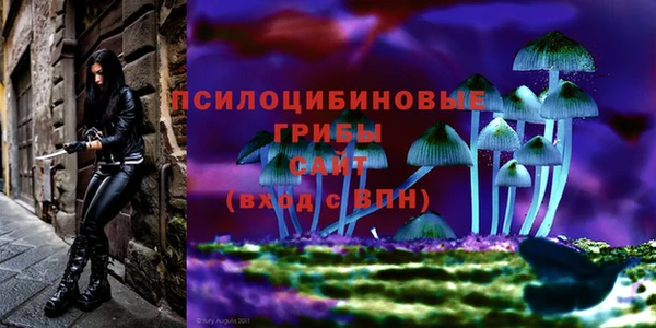 альфа пвп Армянск