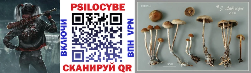 Псилоцибиновые грибы MAGIC MUSHROOMS Нытва