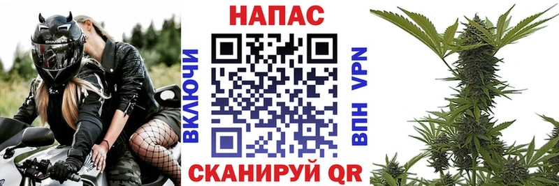 Бошки Шишки VHQ  kraken ССЫЛКА  сайты даркнета наркотические препараты  Нытва 
